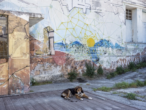 Willi Filz - Lesbos 4