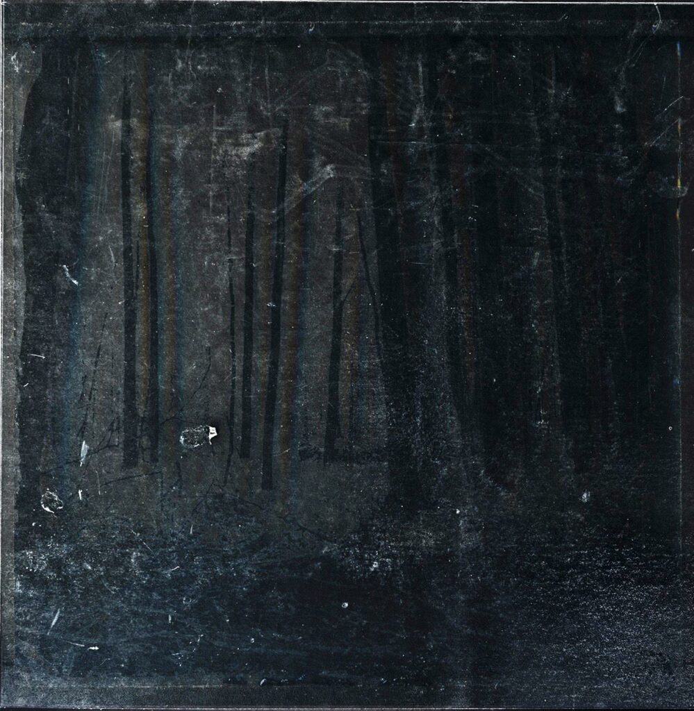 Michael Dohle - #19.05