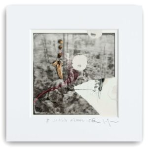 Ateliergemeinschaft K36 - Serie „Lichte Momente“ (6 von 13)