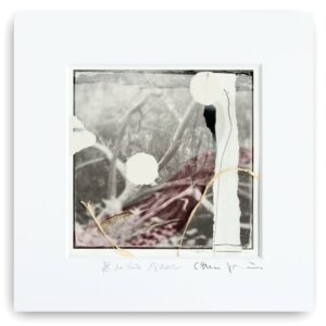 Ateliergemeinschaft K36 - Serie „Lichte Momente“ (8 von 13)