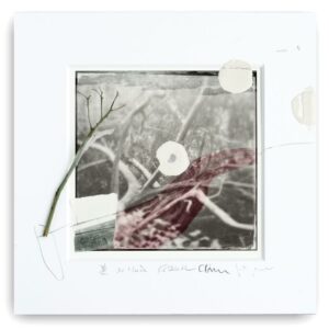 Ateliergemeinschaft K36 - Serie „Lichte Momente“ (11 von 13)